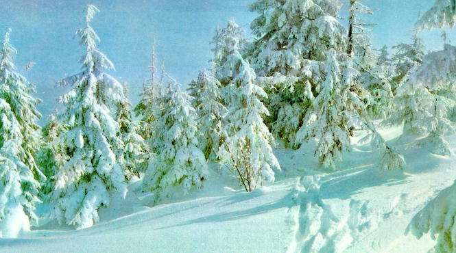 Bk-01.jpg (58987 bytes)